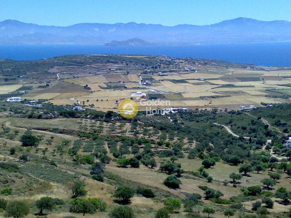 Parcel in Naousa, Paros — Photo 1 of 14