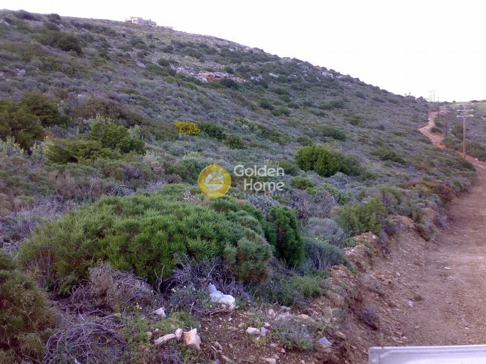 Parcel in Naousa, Paros — Photo 4 of 14