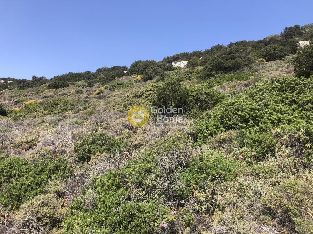 Parcel in Naousa, Paros — Photo 6 of 14
