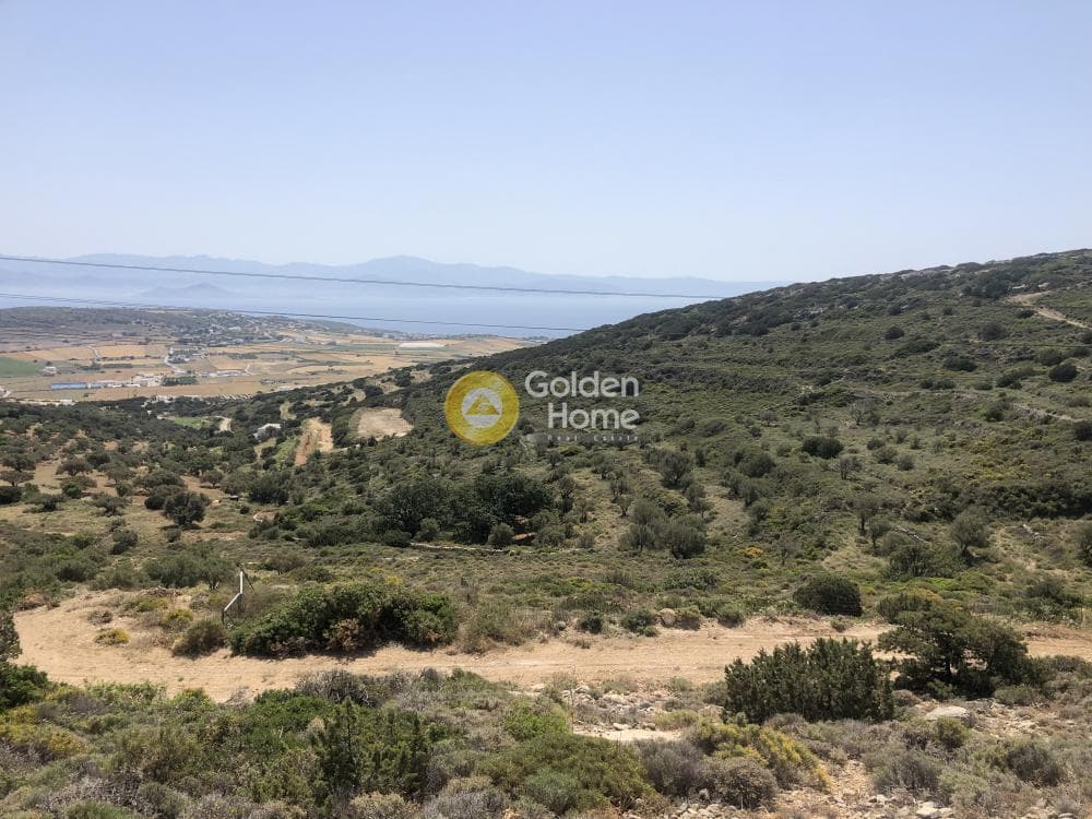 Parcel in Naousa, Paros — Photo 13 of 14