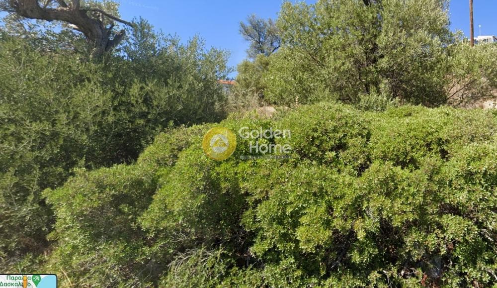 Αγροτεμάχιο στην Παραλία Δασκαλειού, Κερατέα — Φωτογραφία 2 από 2