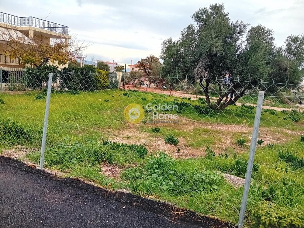 Οικόπεδο στην Άγιος Ανδρέας, Νέα Μάκρη