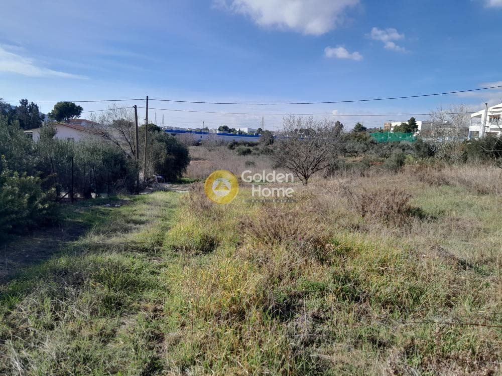 Building Plot in Agia Paraskevi, Pallini — Photo 3 of 6