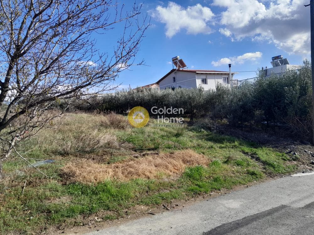 Building Plot in Agia Paraskevi, Pallini — Photo 4 of 6