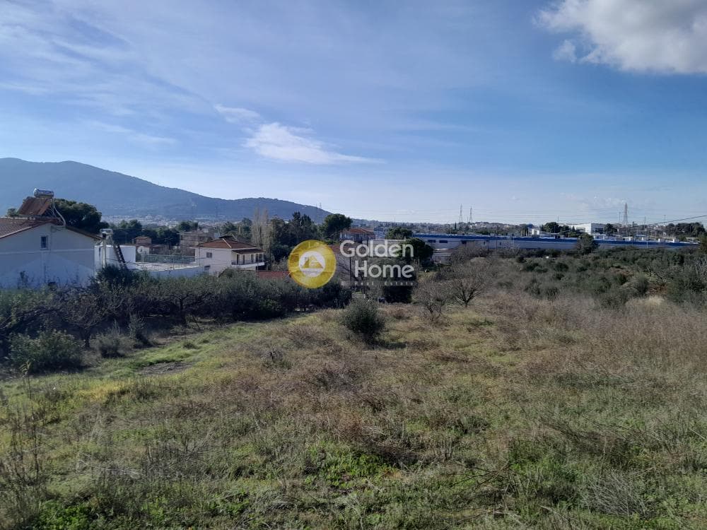 Building Plot in Agia Paraskevi, Pallini — Photo 5 of 6