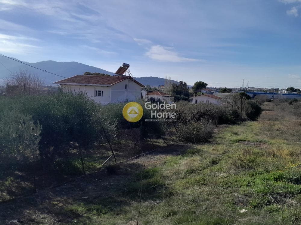 Building Plot in Agia Paraskevi, Pallini — Photo 6 of 6