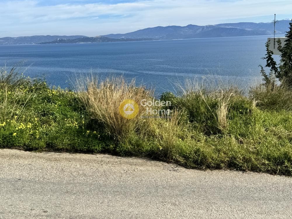 Οικόπεδο στην Άγιος Παντελεήμονας, Νέα Μάκρη — Φωτογραφία 1 από 9