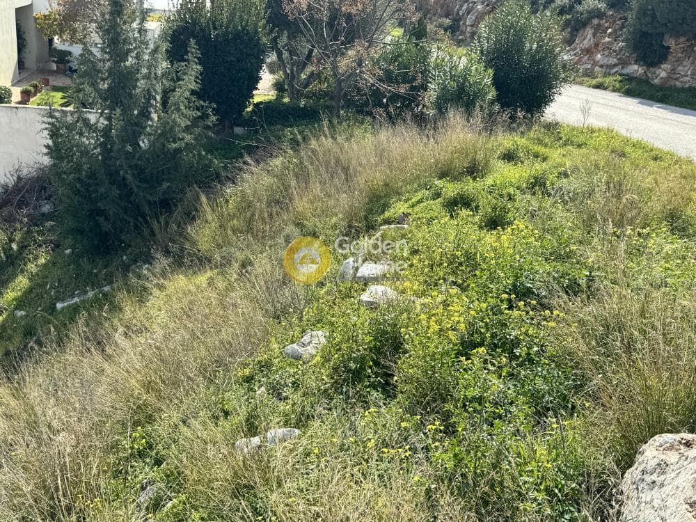 Οικόπεδο στην Άγιος Παντελεήμονας, Νέα Μάκρη — Φωτογραφία 9 από 9