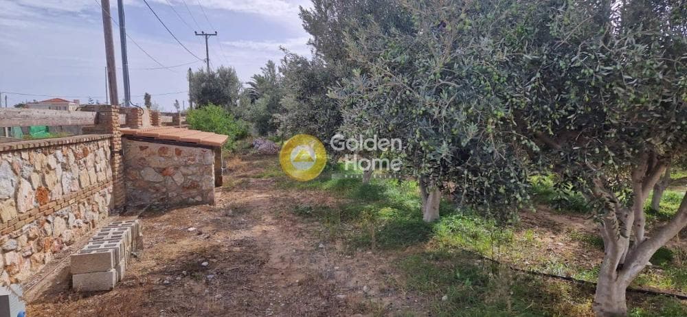 Αγροτεμάχιο στην Άγιος Παντελεήμονας, Νέα Μάκρη — Φωτογραφία 2 από 7