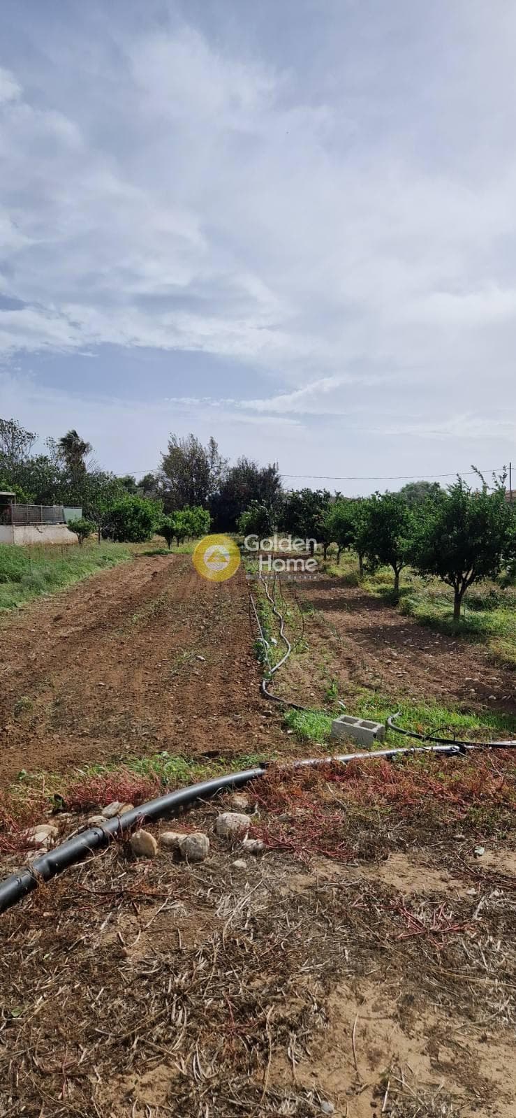 Αγροτεμάχιο στην Άγιος Παντελεήμονας, Νέα Μάκρη — Φωτογραφία 5 από 7