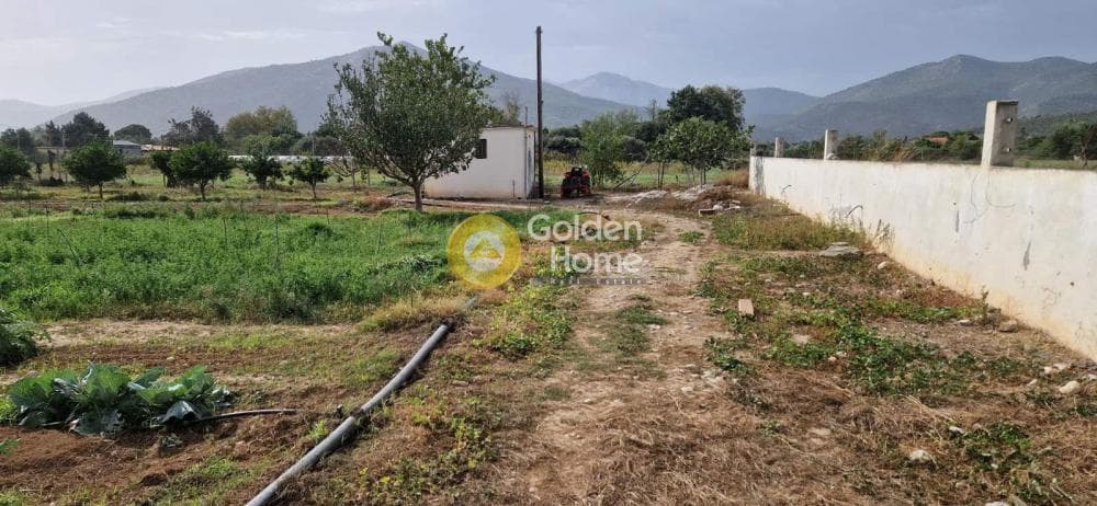Αγροτεμάχιο στην Άγιος Παντελεήμονας, Νέα Μάκρη — Φωτογραφία 6 από 7