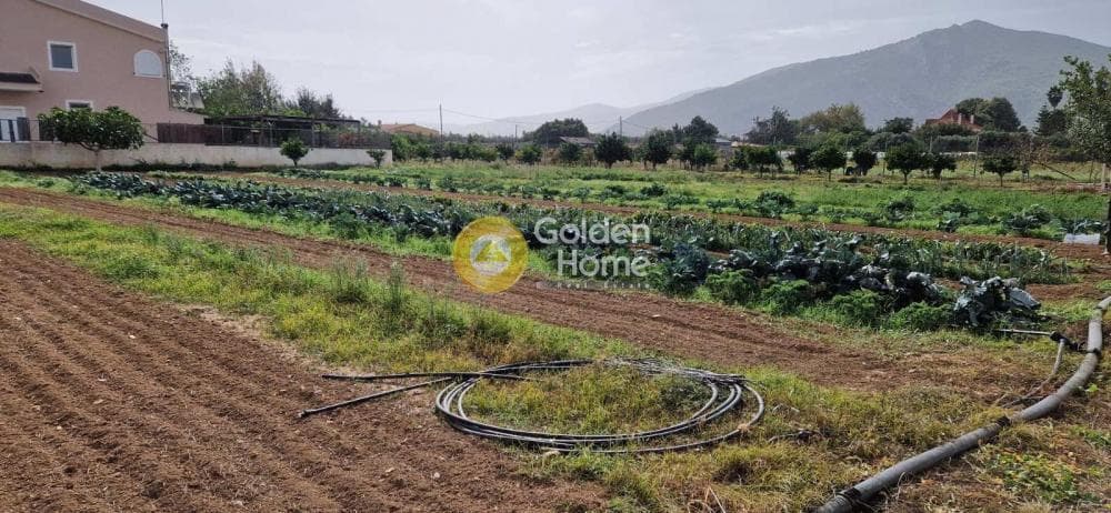 Αγροτεμάχιο στην Άγιος Παντελεήμονας, Νέα Μάκρη — Φωτογραφία 7 από 7