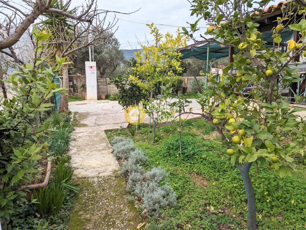 Μονοκατοικία στην Λαμπρικά, Κορωπί — Φωτογραφία 30 από 31