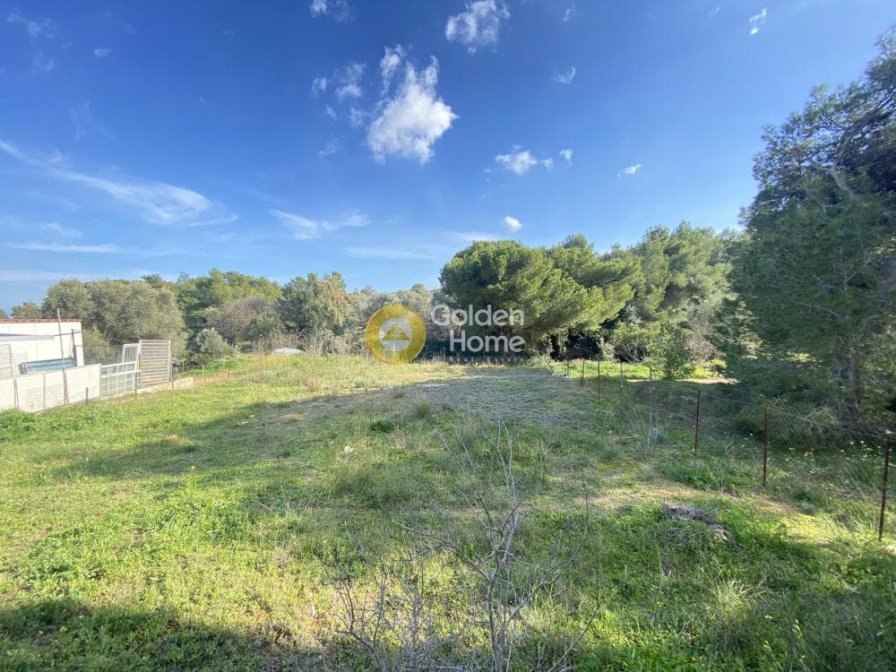 House in Neapoli, Spata — Photo 11 of 13