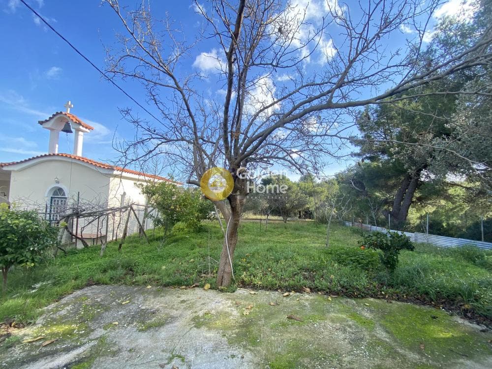 House in Neapoli, Spata — Photo 9 of 13