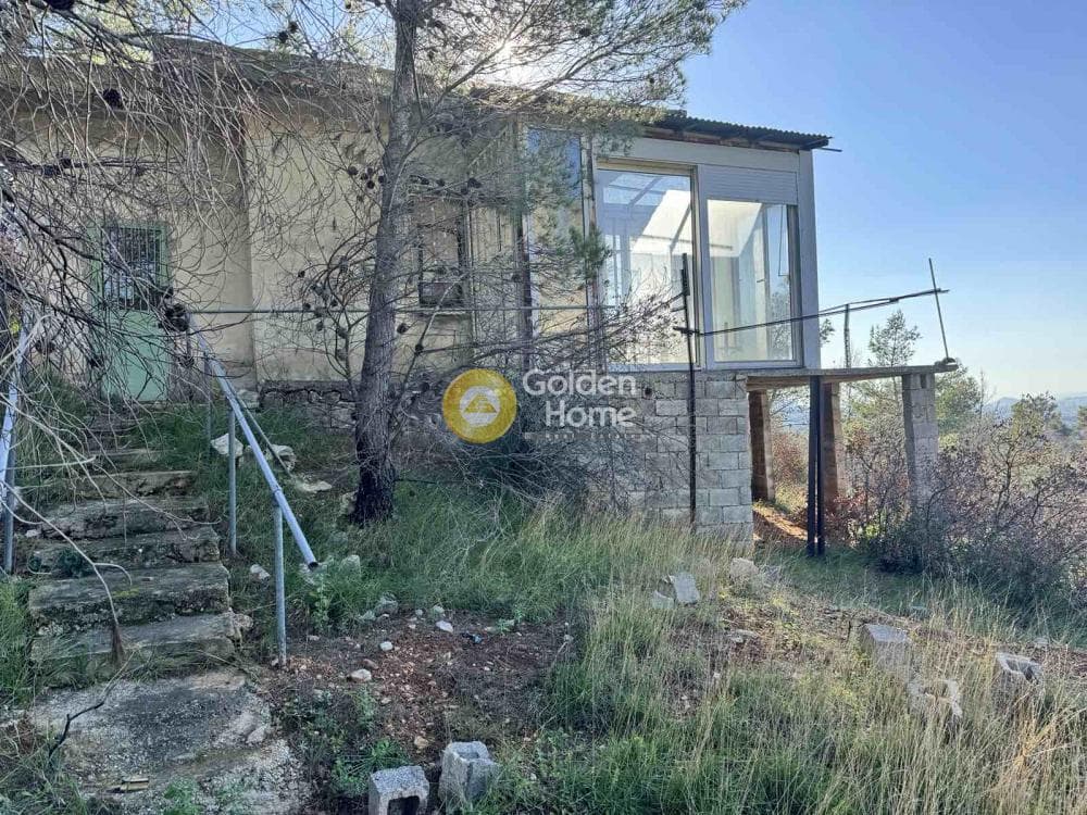 House in Anthousa, Anthoisa — Photo 11 of 12