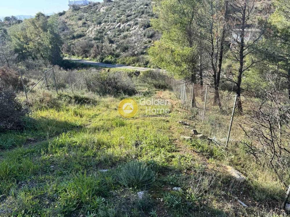 House in Anthousa, Anthoisa — Photo 12 of 12