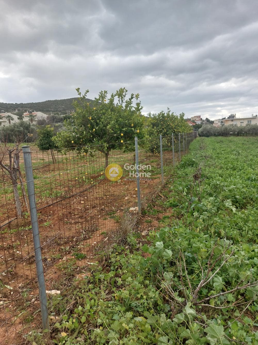 Parcel in Dimolaki, Anavissos — Photo 2 of 2