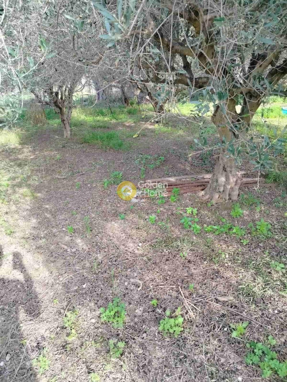 Αγροτεμάχιο στην Κέντρο, Γάζι — Φωτογραφία 2 από 7