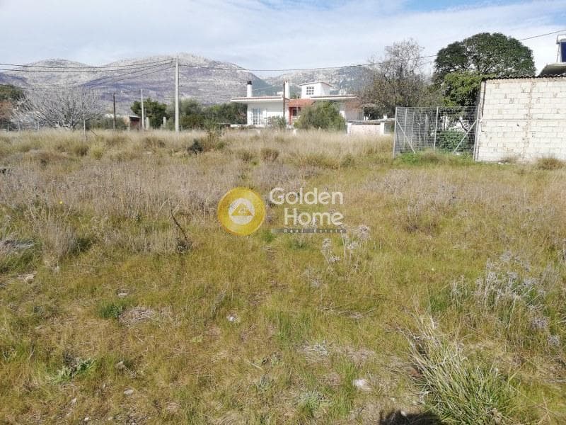 Building Plot in Megala Sxoinia A, Acharnes — Photo 2 of 4