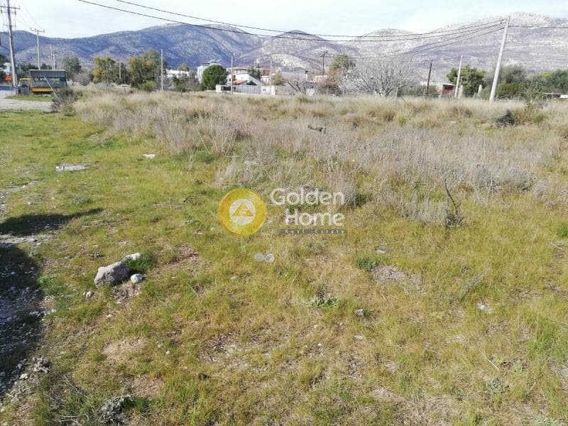 Building Plot in Megala Sxoinia A, Acharnes — Photo 4 of 4