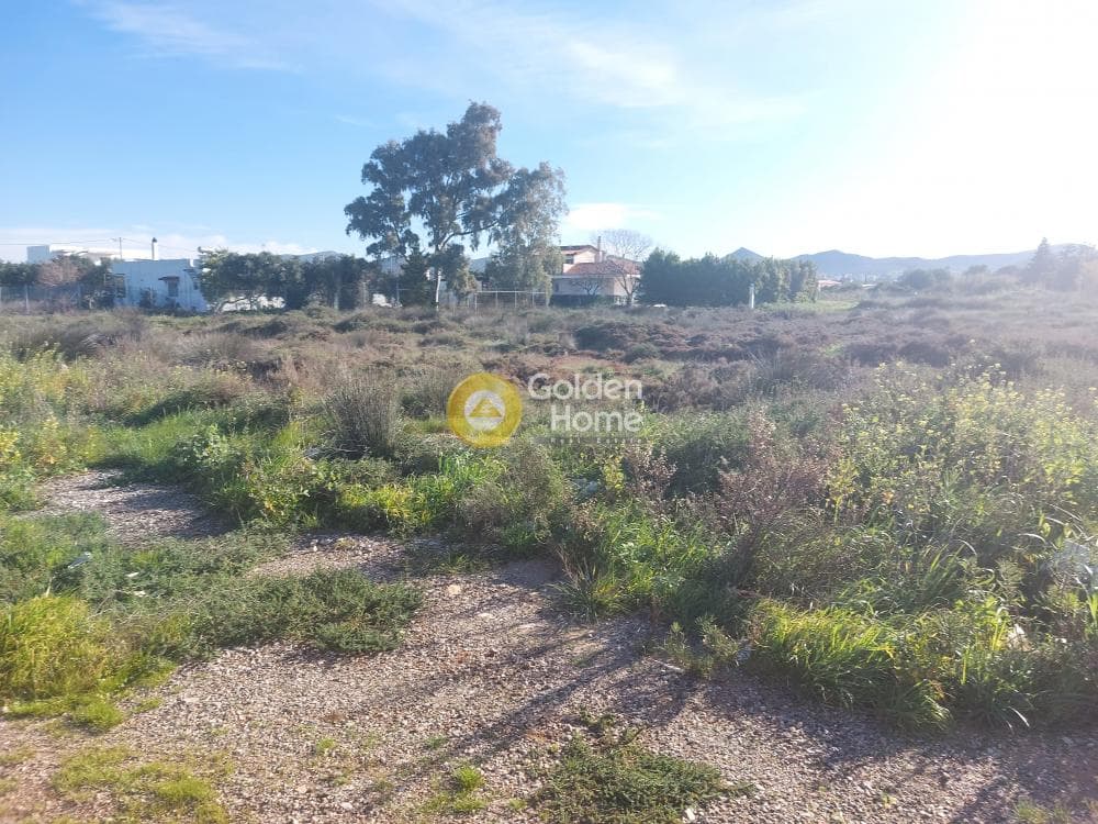 Οικόπεδο στην Άγιος Νικόλαος, Ανάβυσσος — Φωτογραφία 1 από 4