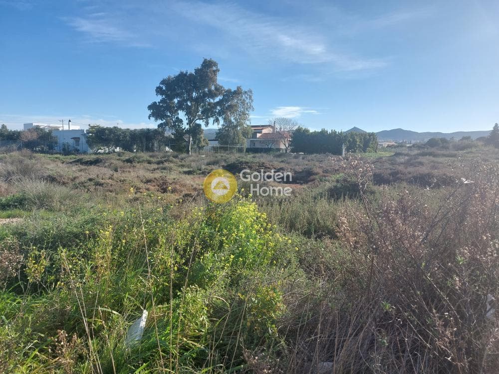 Οικόπεδο στην Άγιος Νικόλαος, Ανάβυσσος — Φωτογραφία 4 από 4