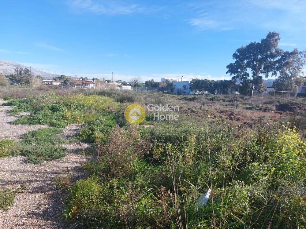 Οικόπεδο στην Άγιος Νικόλαος, Ανάβυσσος — Φωτογραφία 2 από 4