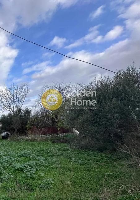 Building Plot in Center, Mallia