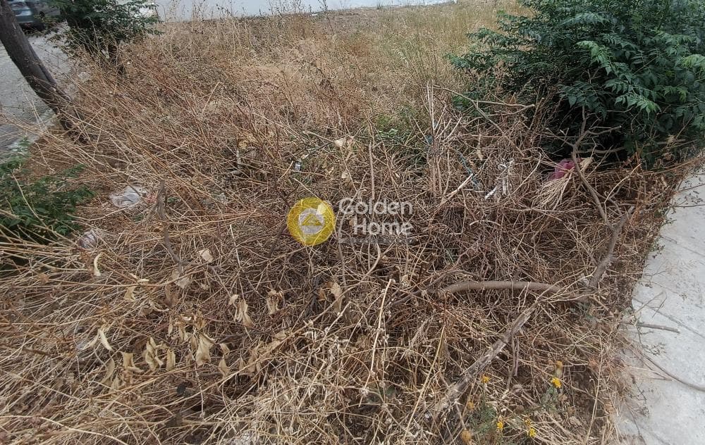 Οικόπεδο στην Γερόβουνο, Καματερό — Φωτογραφία 1 από 9