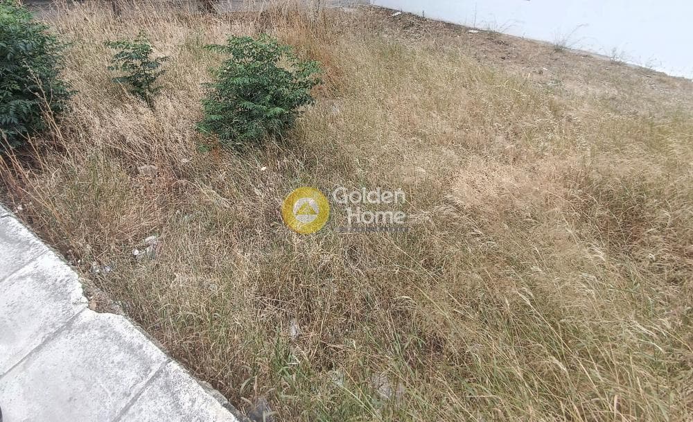 Οικόπεδο στην Γερόβουνο, Καματερό — Φωτογραφία 3 από 9