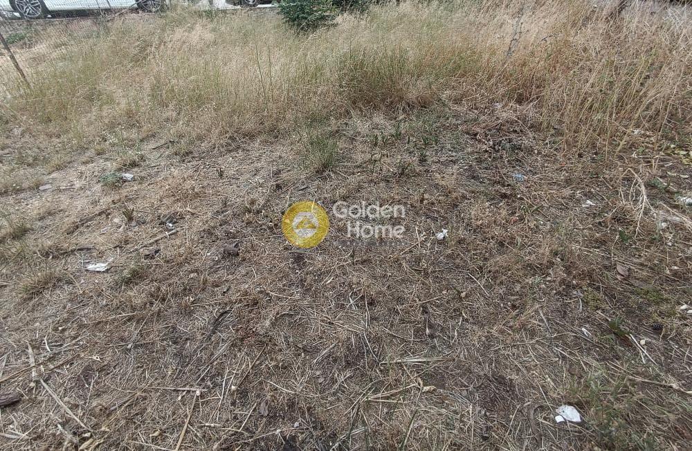 Οικόπεδο στην Γερόβουνο, Καματερό — Φωτογραφία 4 από 9