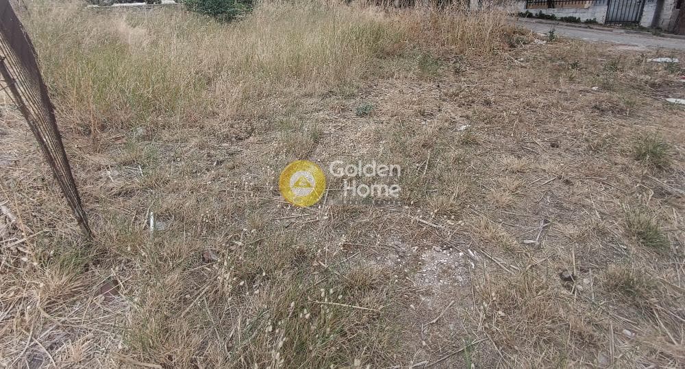 Οικόπεδο στην Γερόβουνο, Καματερό — Φωτογραφία 5 από 9