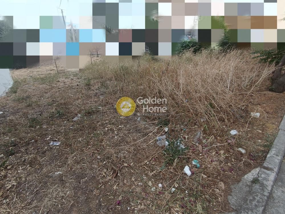 Οικόπεδο στην Γερόβουνο, Καματερό — Φωτογραφία 7 από 9