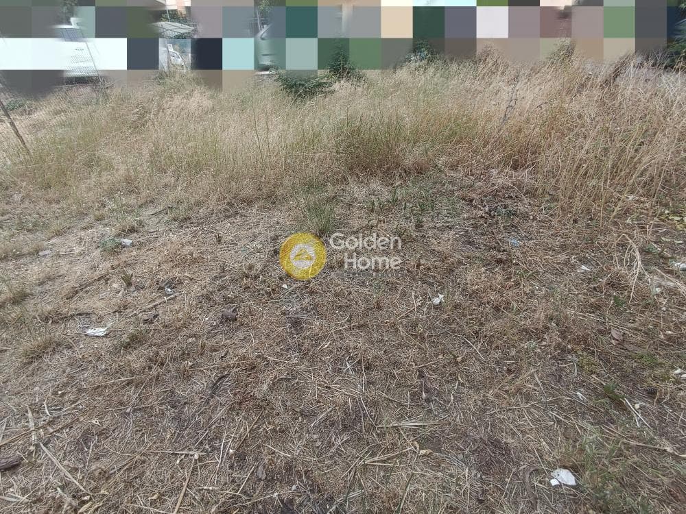 Οικόπεδο στην Γερόβουνο, Καματερό — Φωτογραφία 8 από 9