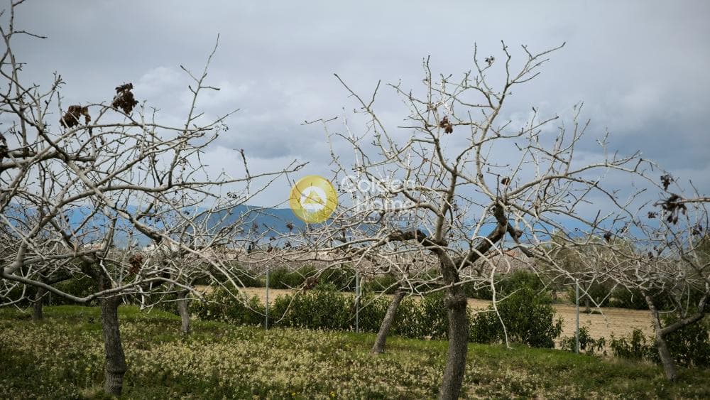 Οικόπεδο στην Παγώνι, Αίγινα — Φωτογραφία 2 από 3