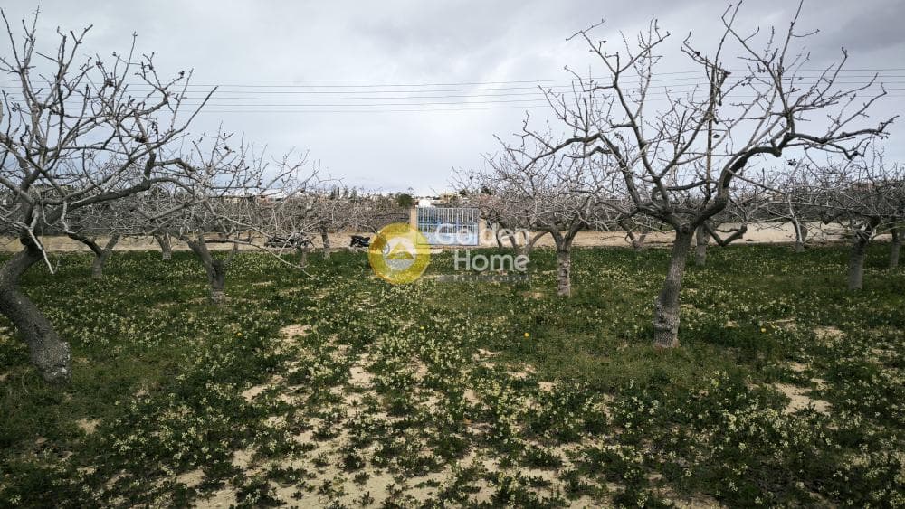 Οικόπεδο στην Παγώνι, Αίγινα — Φωτογραφία 3 από 3