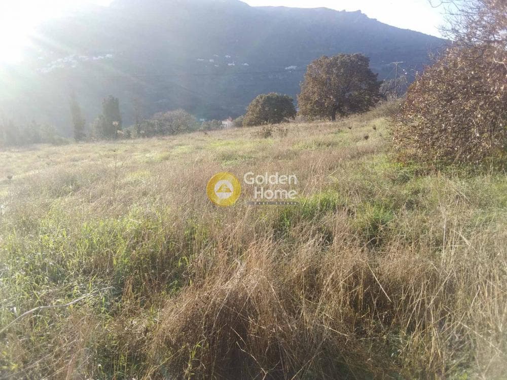Οικόπεδο στην Μεσαριά, Άνδρος — Φωτογραφία 5 από 5