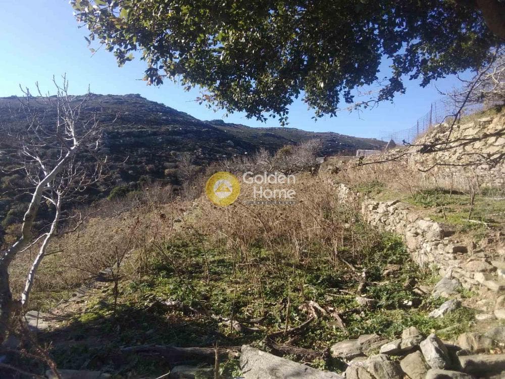 Αγροτεμάχιο στην Λάμυρα, Άνδρος — Φωτογραφία 2 από 7