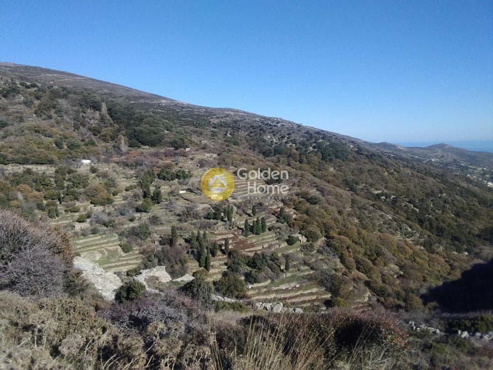Αγροτεμάχιο στην Λάμυρα, Άνδρος — Φωτογραφία 3 από 7