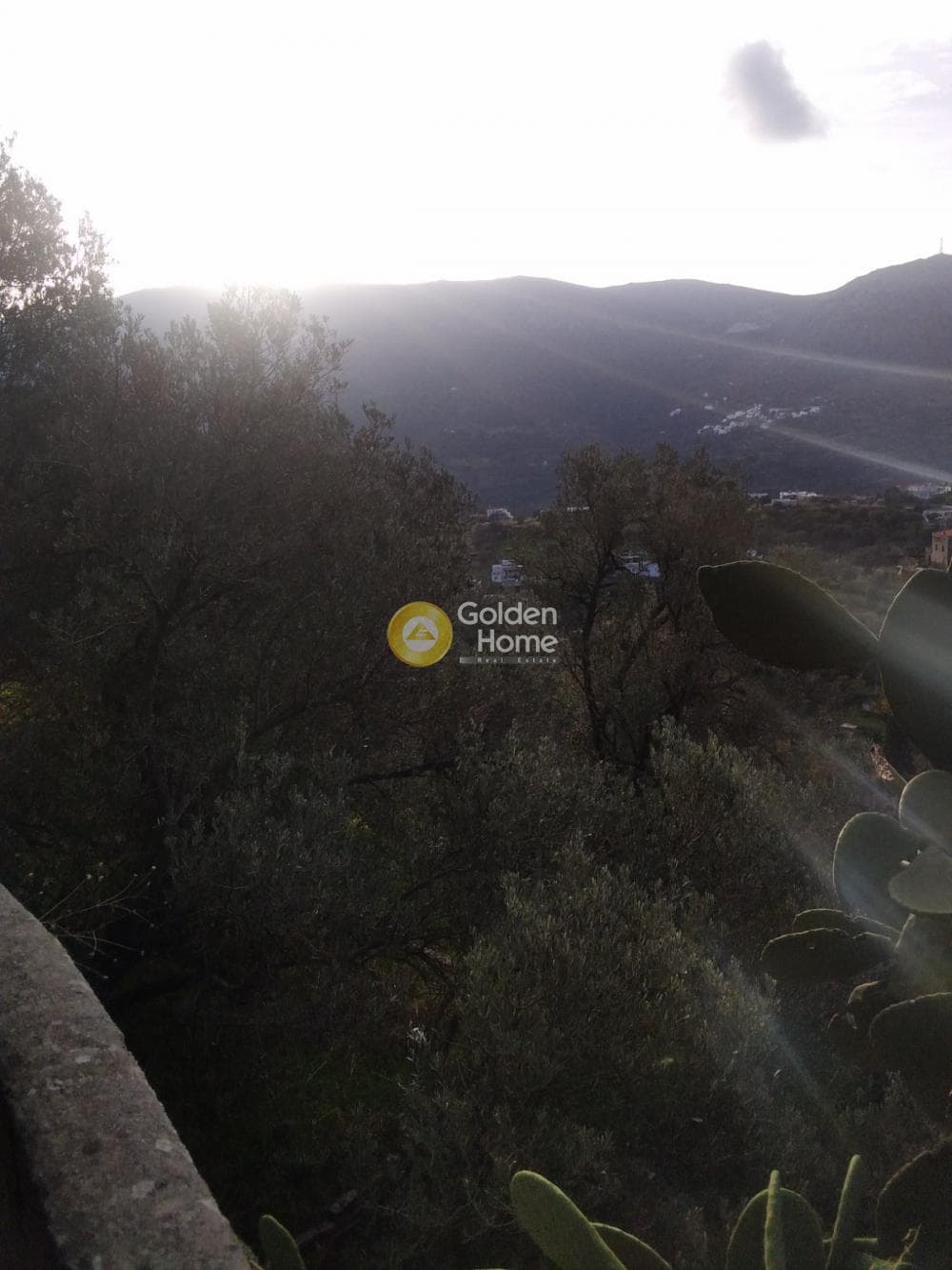 Αγροτεμάχιο στην Λάμυρα, Άνδρος — Φωτογραφία 5 από 7
