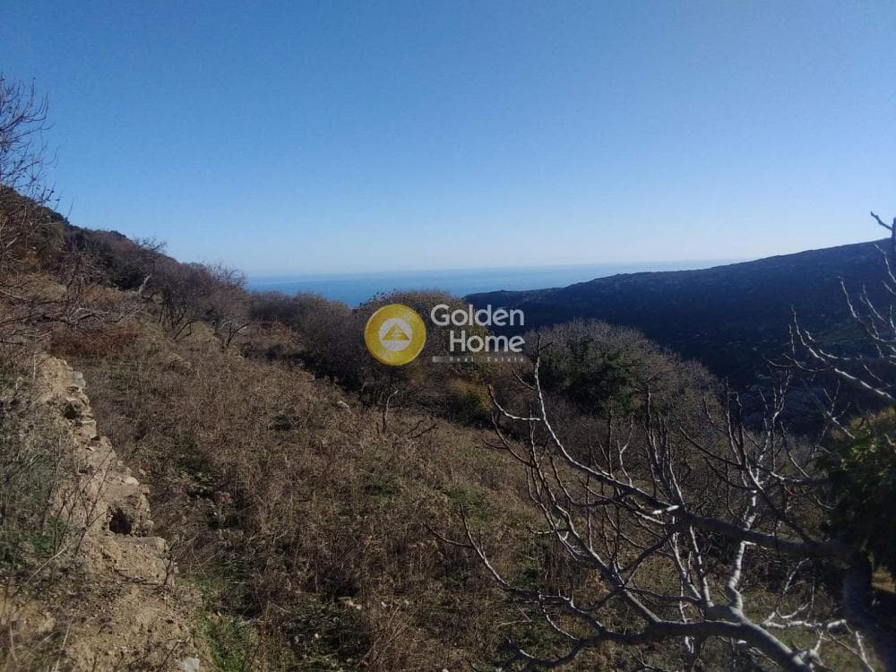 Αγροτεμάχιο στην Λάμυρα, Άνδρος — Φωτογραφία 4 από 7