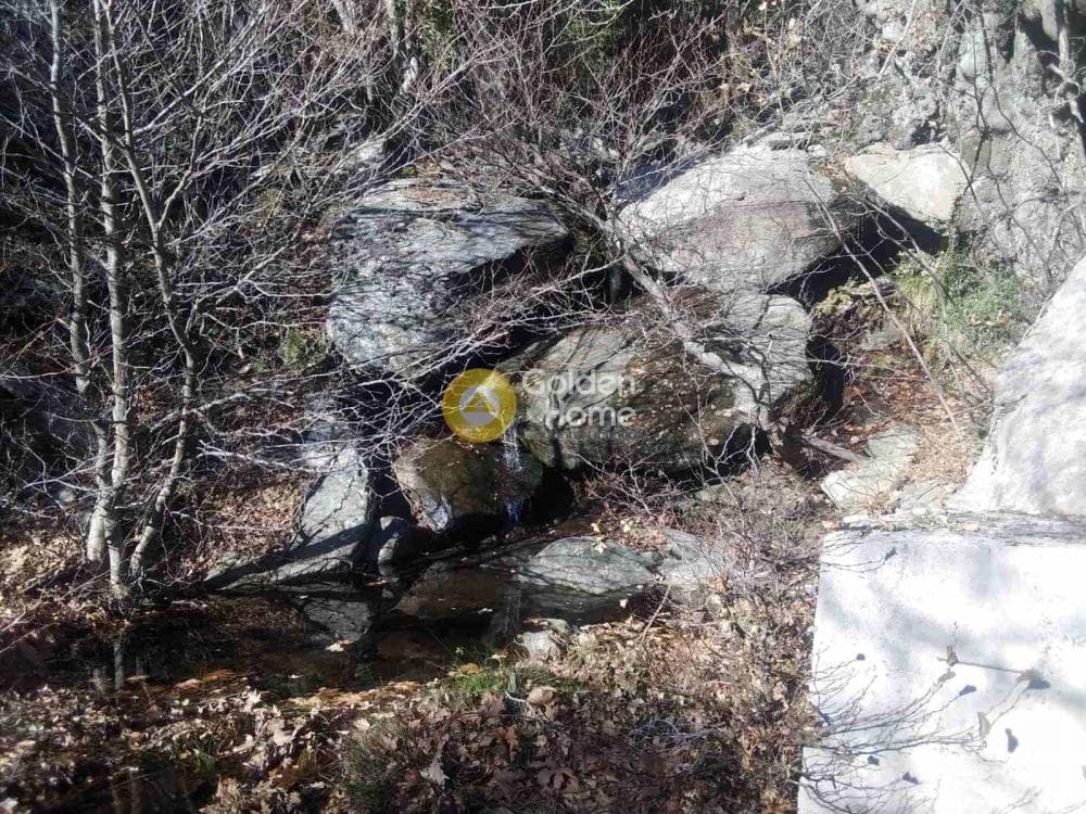 Αγροτεμάχιο στην Λάμυρα, Άνδρος — Φωτογραφία 7 από 7