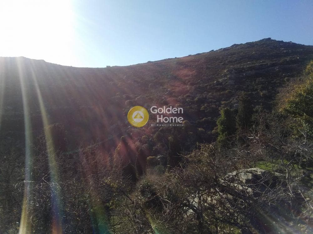 Αγροτεμάχιο στην Λάμυρα, Άνδρος — Φωτογραφία 6 από 7