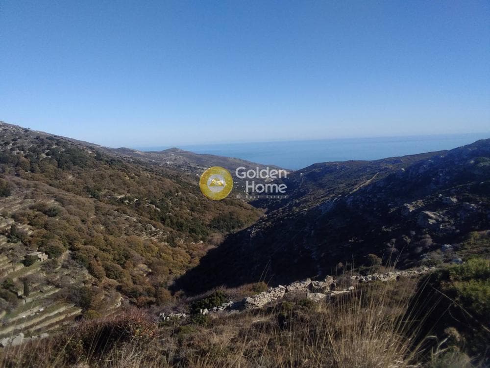Αγροτεμάχιο στην Λάμυρα, Άνδρος — Φωτογραφία 1 από 7