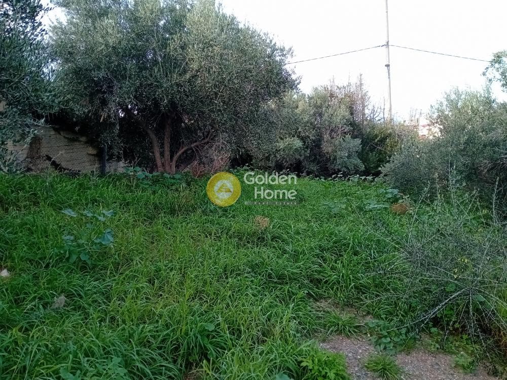 Οικόπεδο στην Μαύρο Λιθάρι, Σαρωνίδα — Φωτογραφία 1 από 3