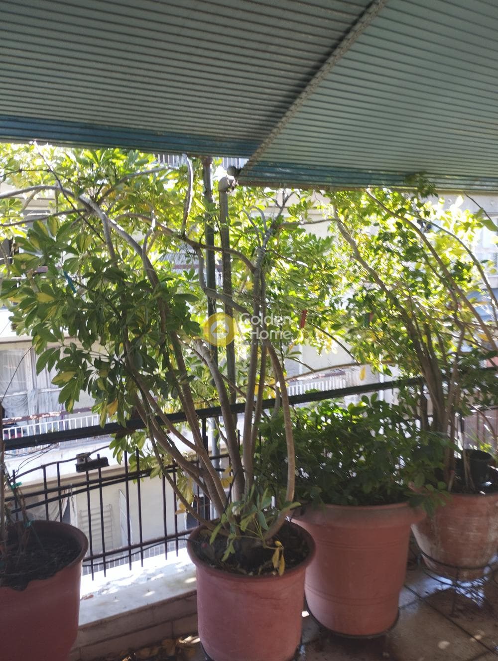 Apartment in Platia Koumoundourou, Kentro — Photo 13 of 18