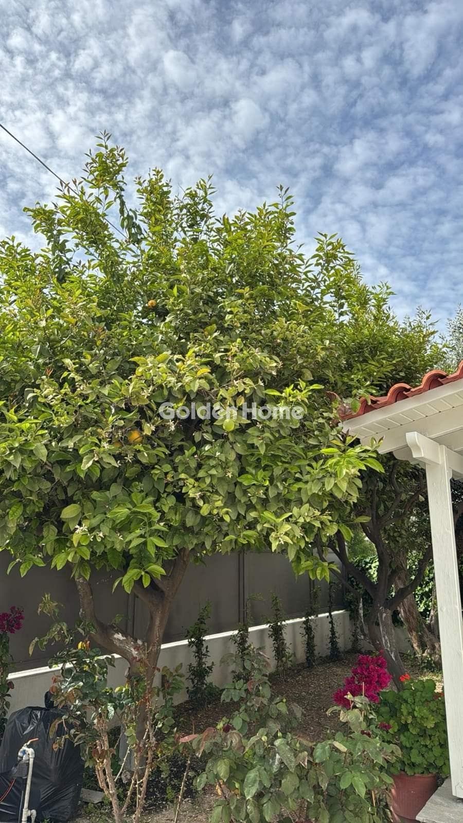 Μονοκατοικία στην Πόρτο Ράφτη, Βραυρώνα — Φωτογραφία 22 από 29