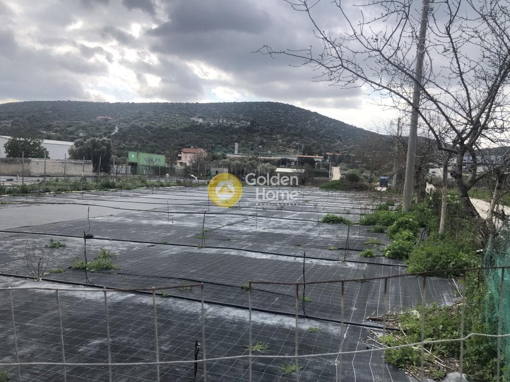 Οικόπεδο στην Λεωφ. Βάρης Κορωπίου, Κορωπί — Φωτογραφία 6 από 6
