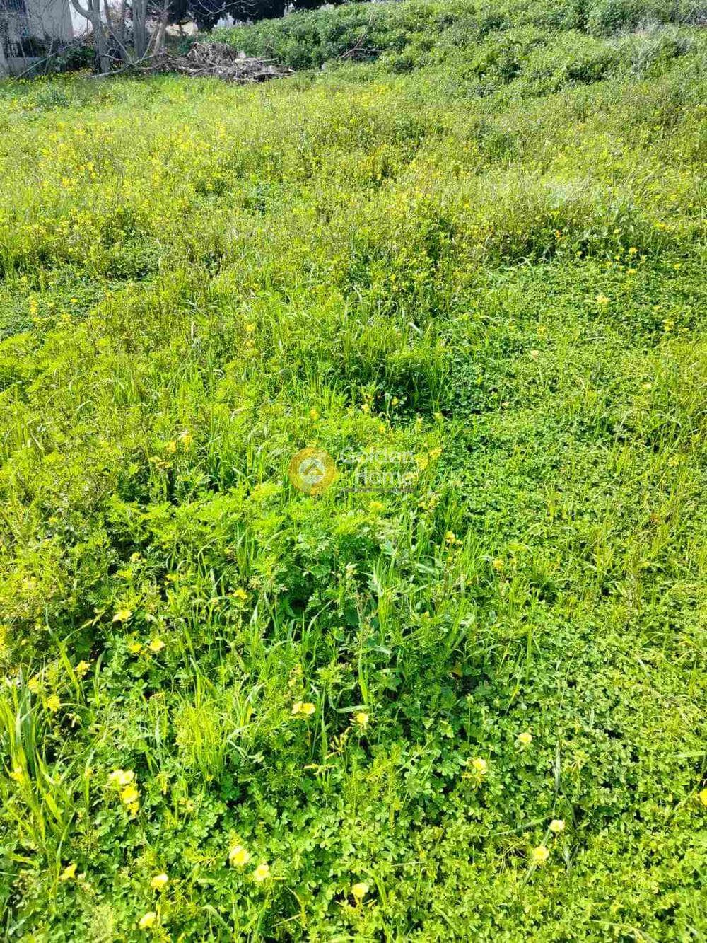Building Plot in Rodia, Gazi — Photo 1 of 4